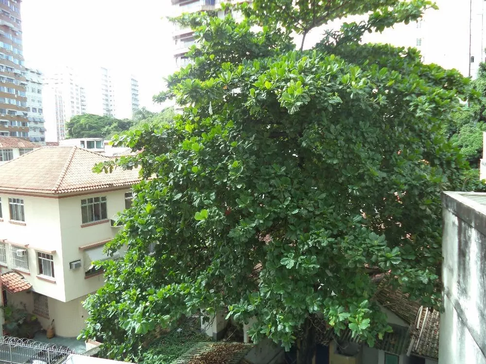 Apartamento, 3 quartos, 90 m² - Foto 12