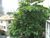 Apartamento, 3 quartos, 90 m² - Foto 1