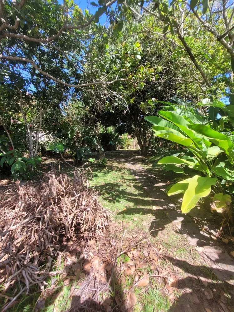 Terreno, 450 m² - Foto 10