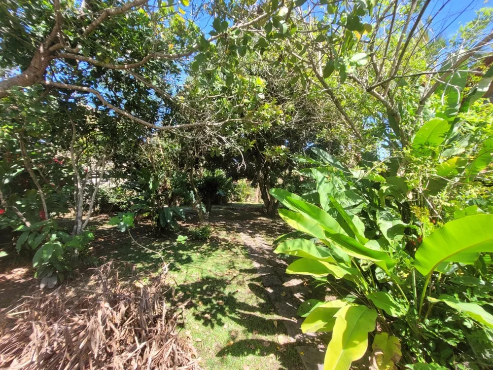 Terreno, 450 m² - Foto 11