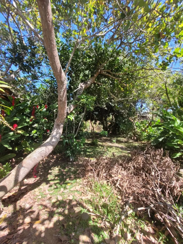 Terreno, 450 m² - Foto 19