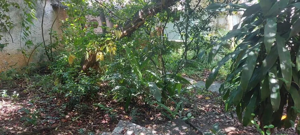 Casa, 6 quartos, 245 m² - Foto 17