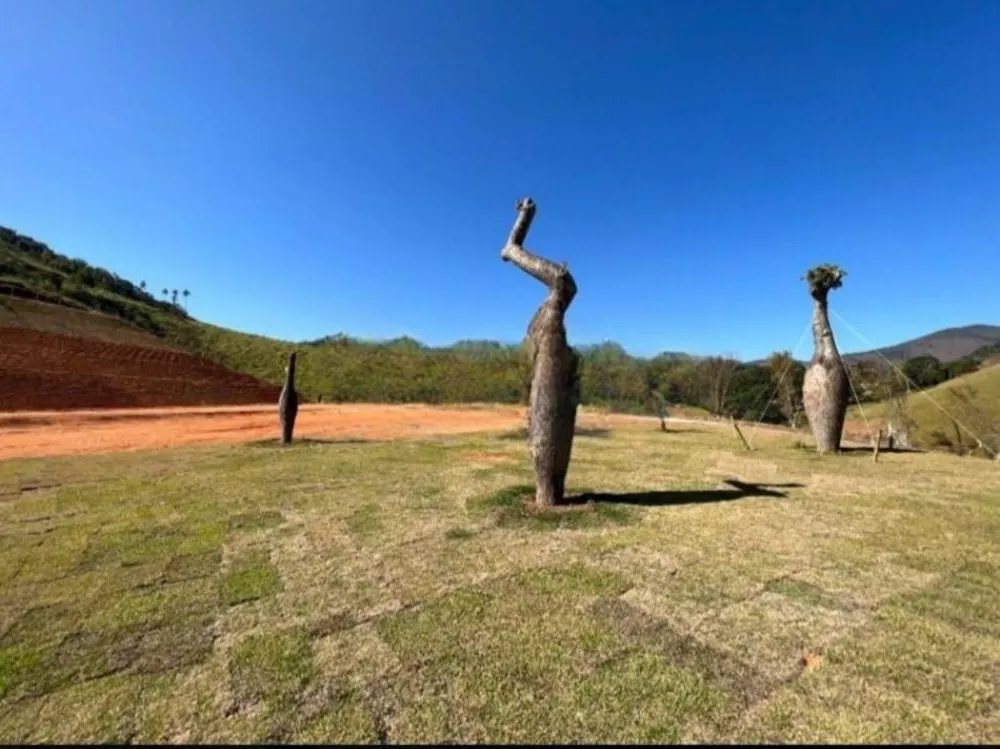 Terreno, 2 hectares - Foto 4