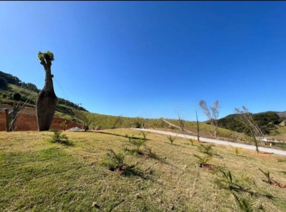 Terreno, 2 hectares - Foto 2