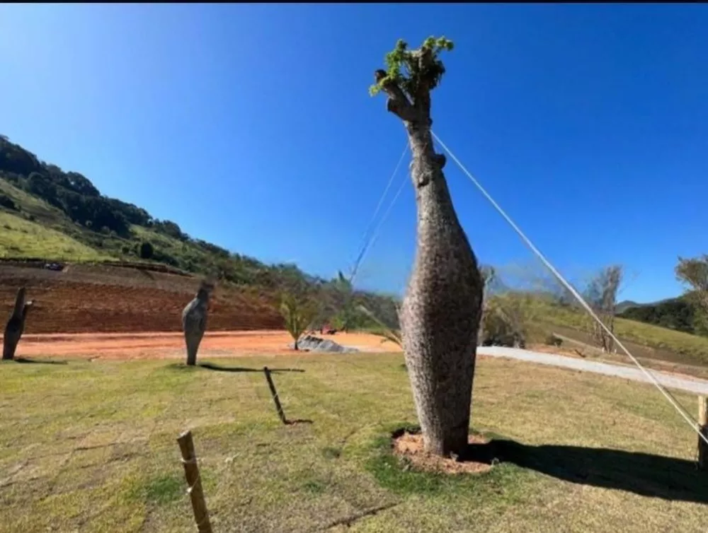 Terreno, 2 hectares - Foto 7