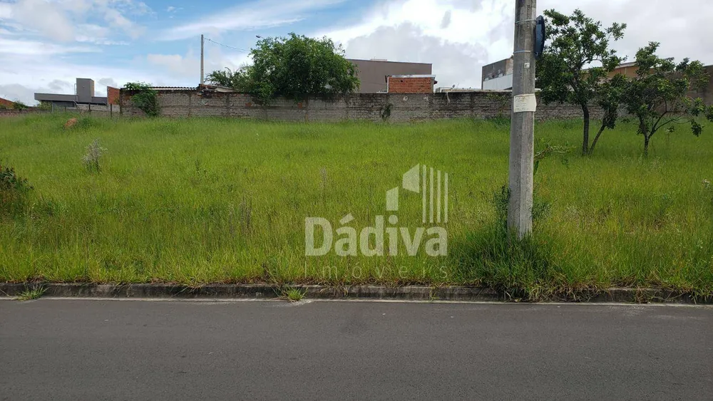 Terreno, 243 m² - Foto 4