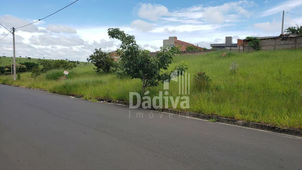 Terreno, 243 m² - Foto 3