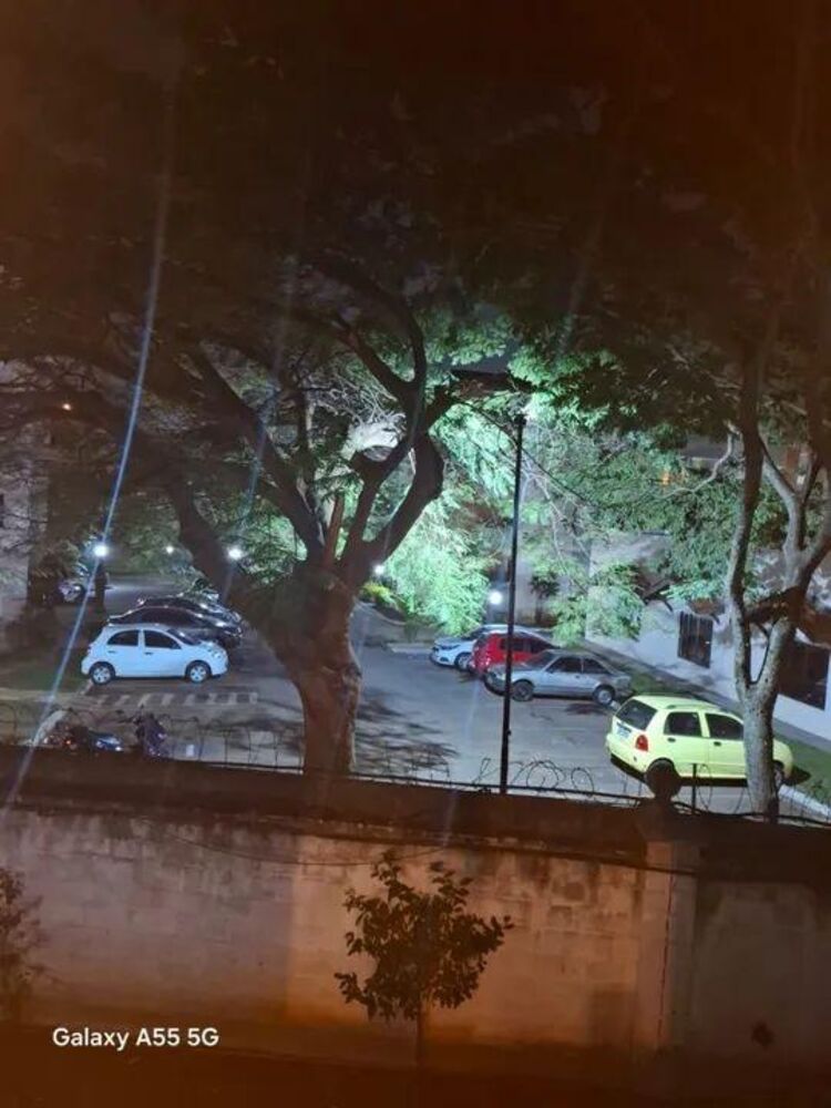 Apartamento, 2 quartos, 48 m² - Foto 2