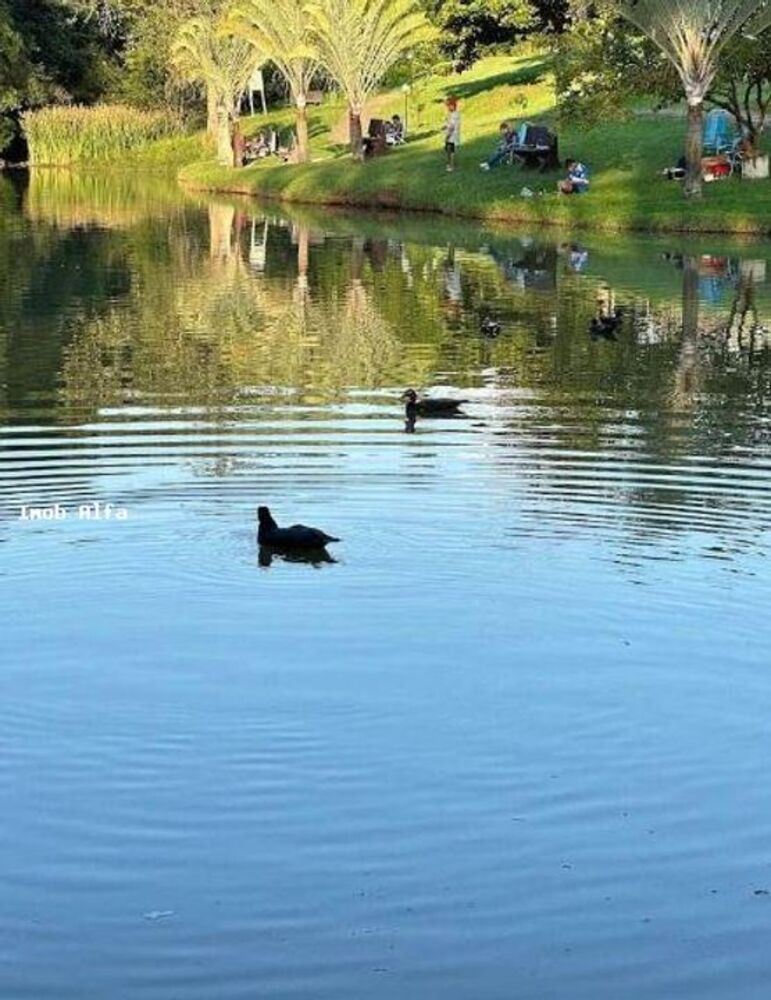 Terreno, 246 m² - Foto 2