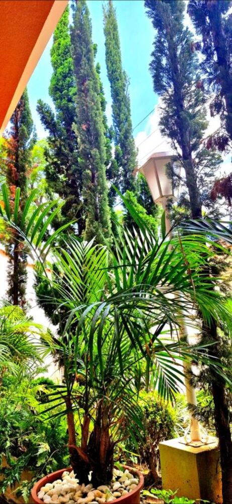 Casa, 3 quartos, 175 m² - Foto 3