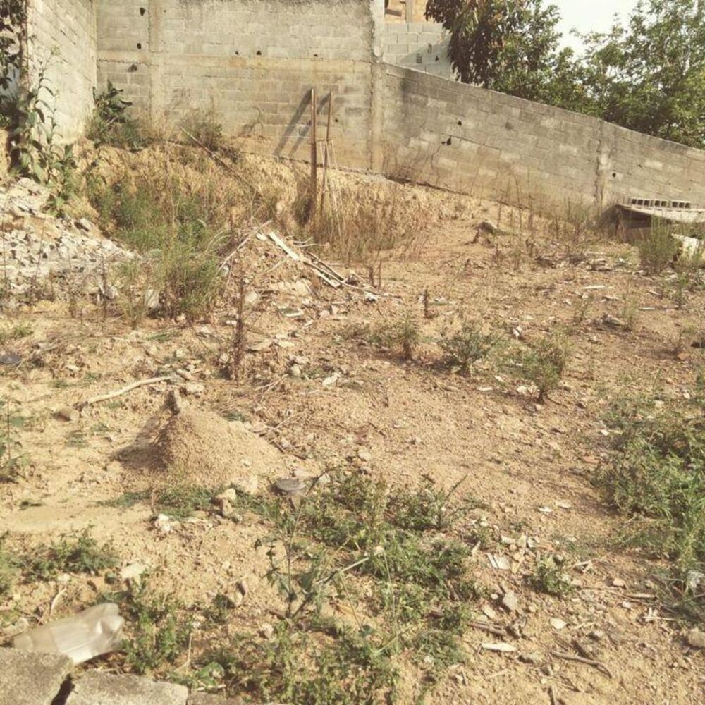 Casa, 3 quartos, 125 m² - Foto 12