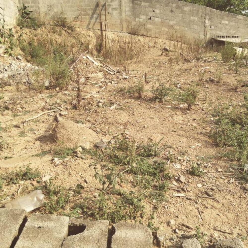 Casa, 3 quartos, 125 m² - Foto 11