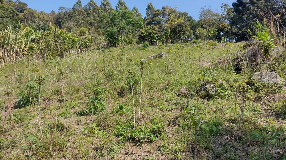 Sítio, 1 hectares - Foto 2