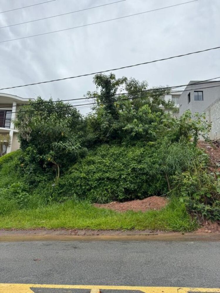 Terreno, 501 m² - Foto 3