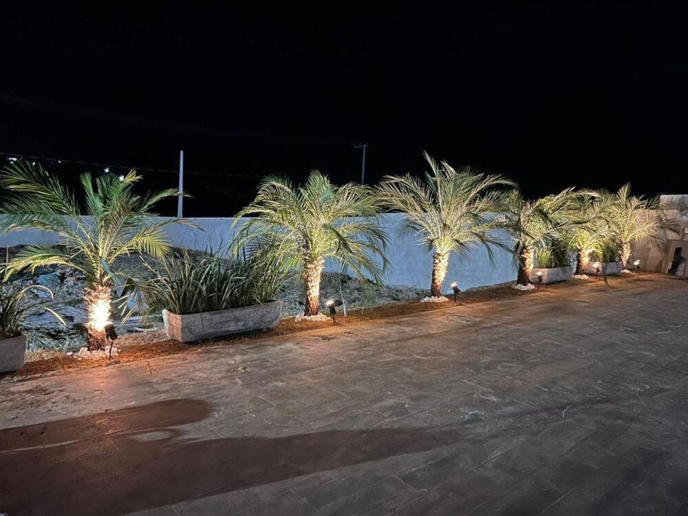 Chácara à venda com 3 quartos, 1000m² - Foto 2