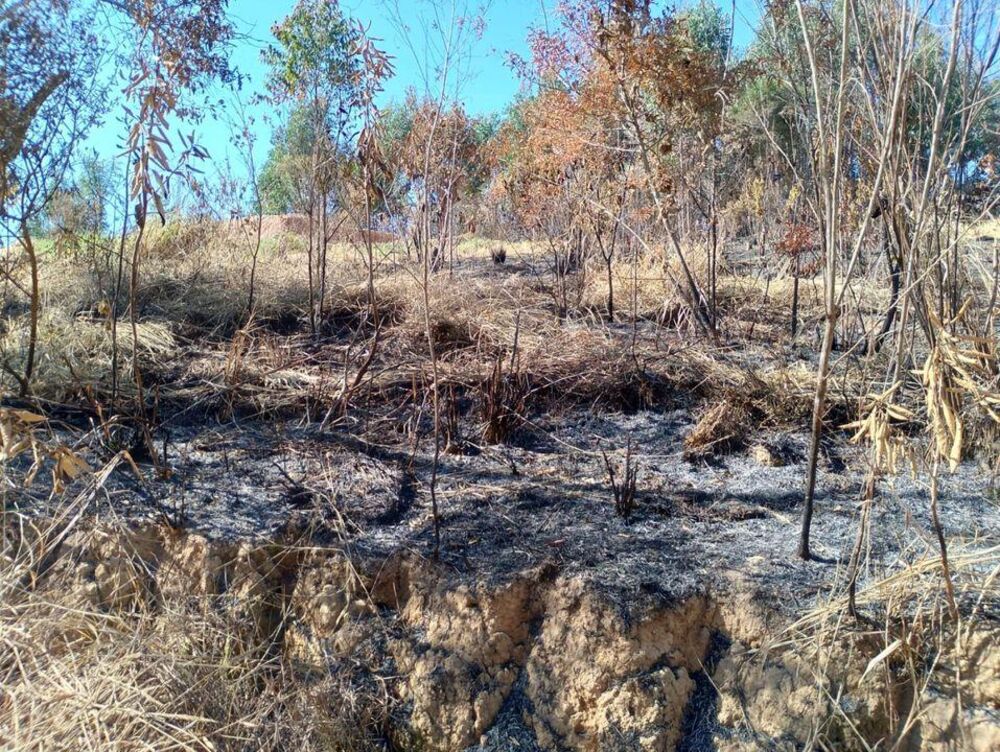 Terreno à venda, 500m² - Foto 2