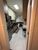 Apartamento, 3 quartos - Foto 11