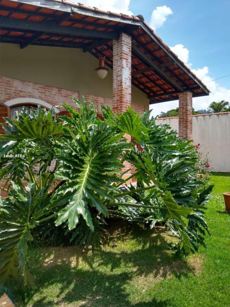 Casa, 4 quartos, 725 m² - Foto 2