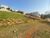 Terreno, 655 m² - Foto 3