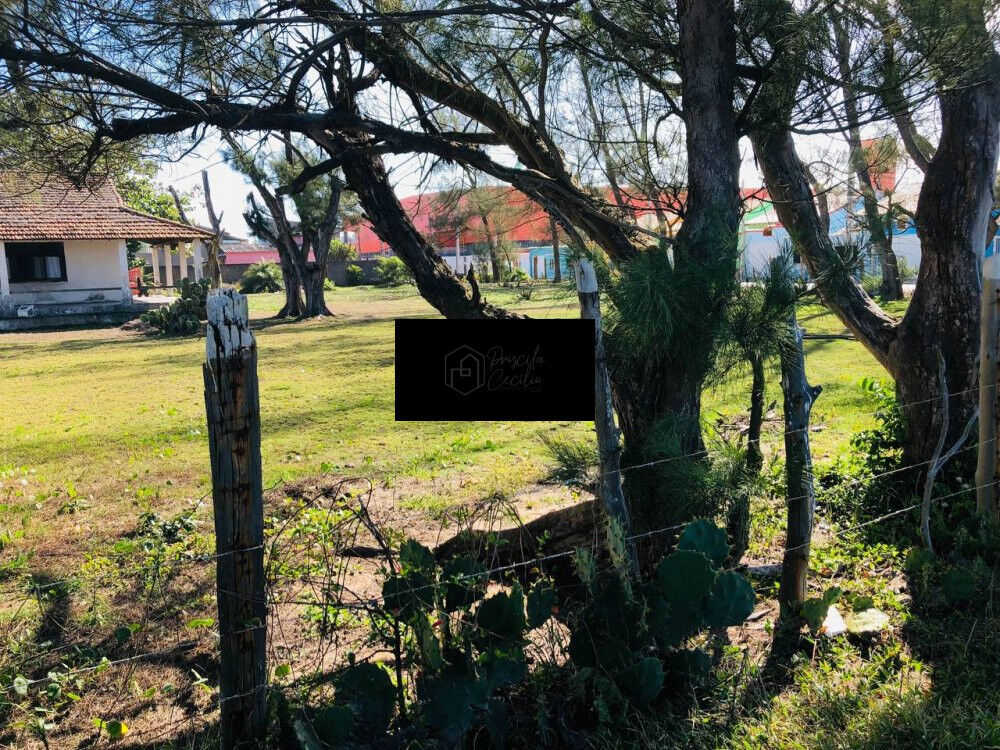 Terreno, 2090 m² - Foto 7