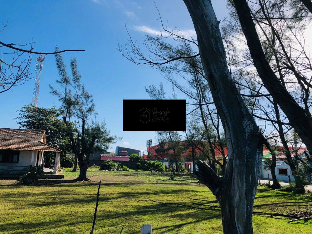 Terreno, 2090 m² - Foto 5