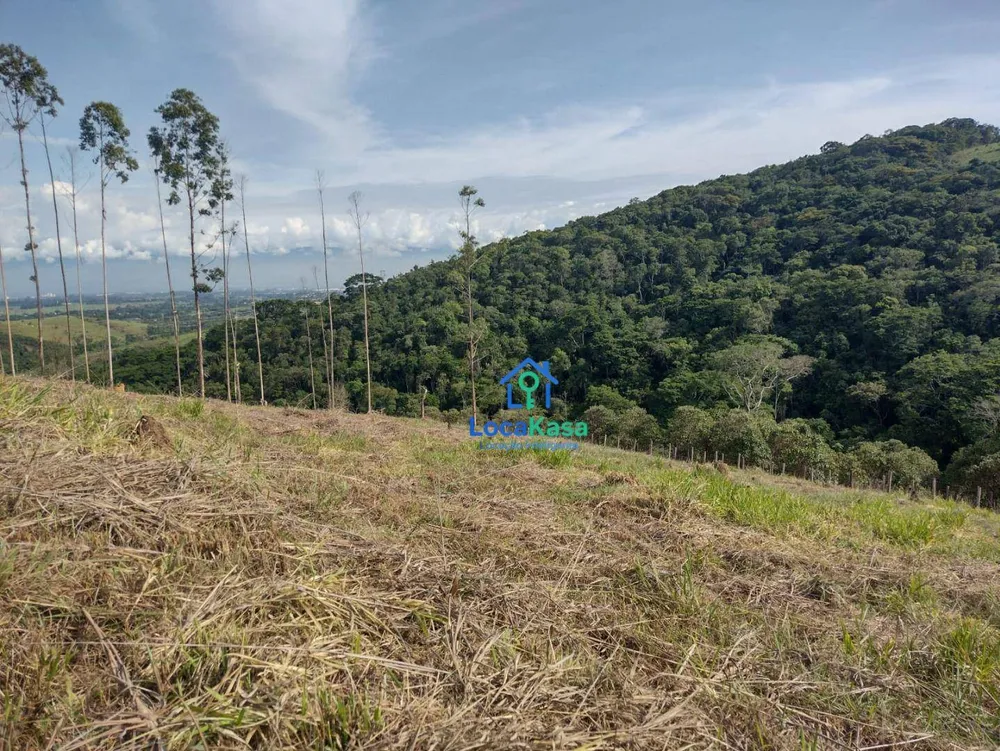 Terreno, 2 hectares - Foto 4