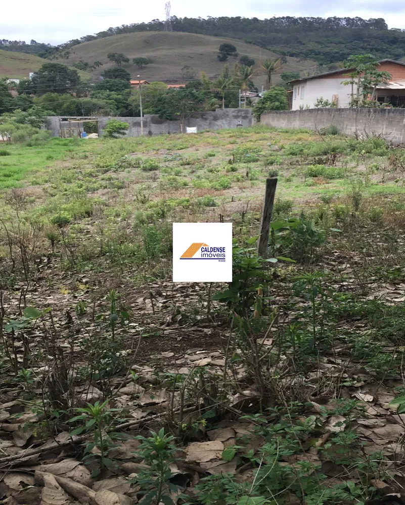 Terreno à venda, 1300m² - Foto 4