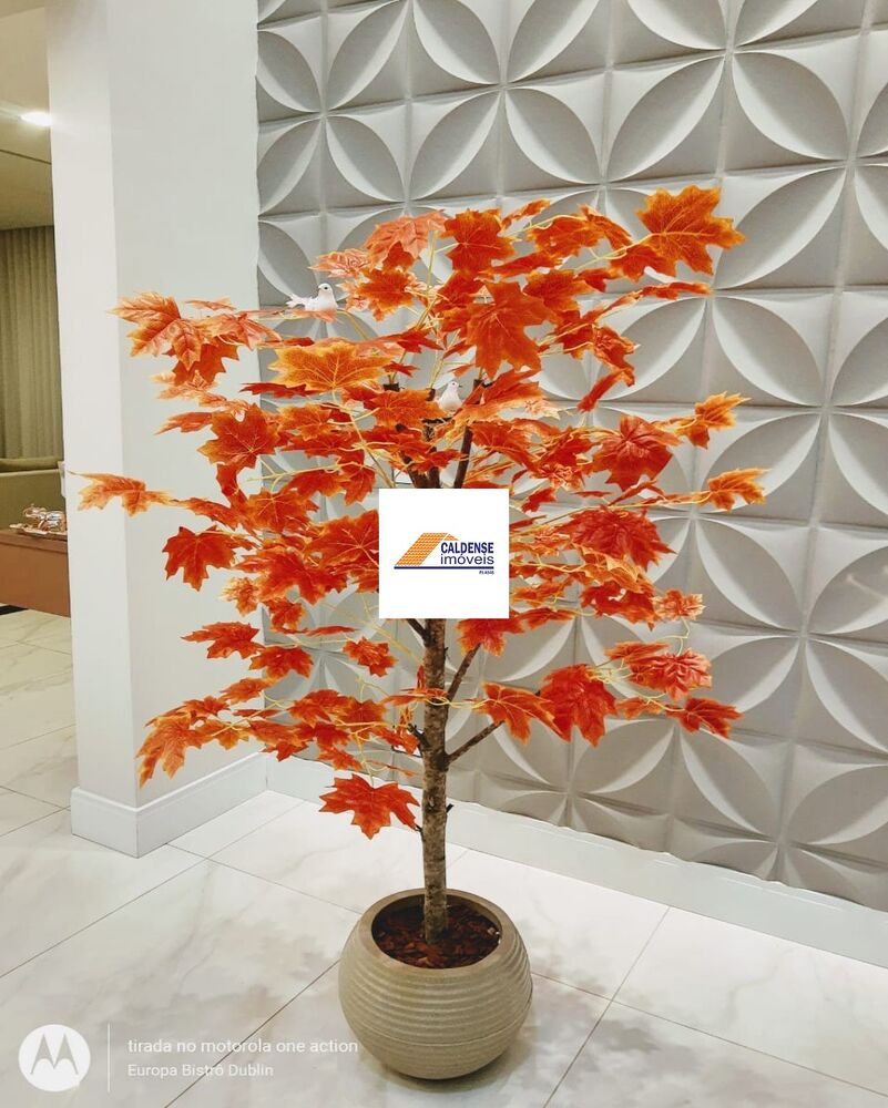 Casa, 4 quartos - Foto 1