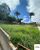 Terreno, 230 m² - Foto 3