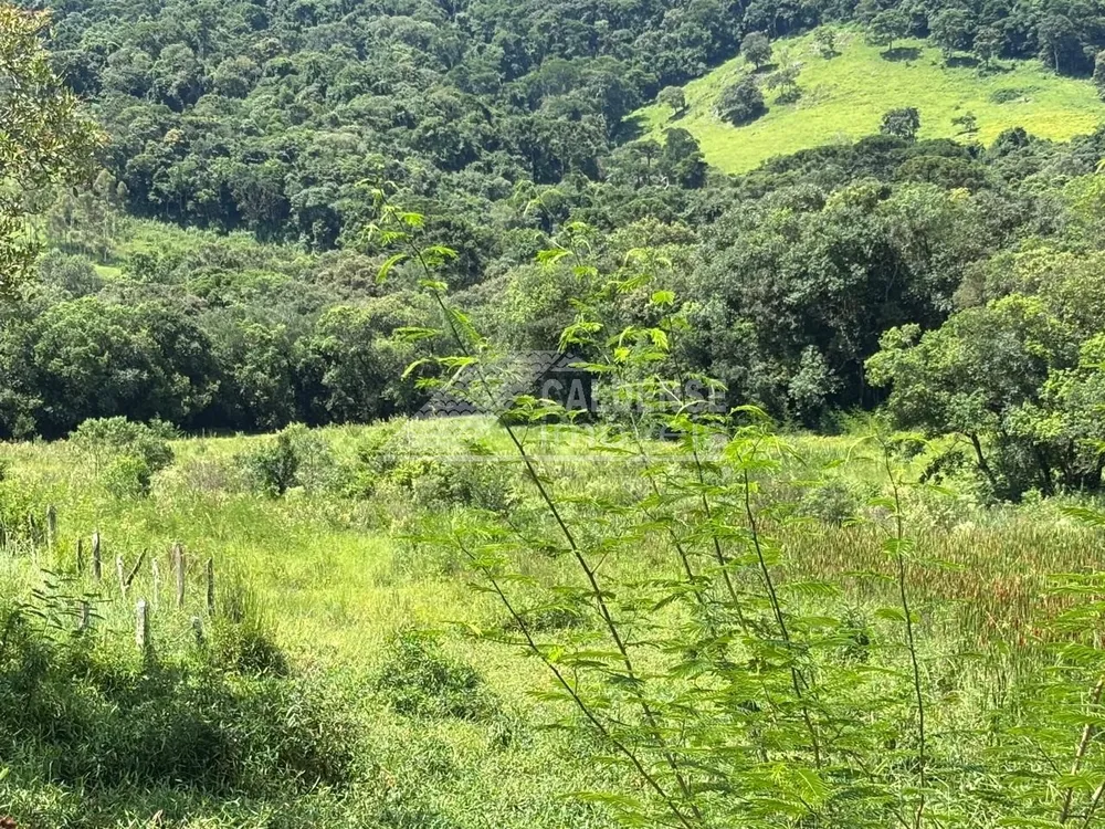 Sítio - Foto 5