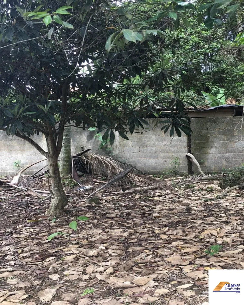 Terreno, 1300 m² - Foto 6