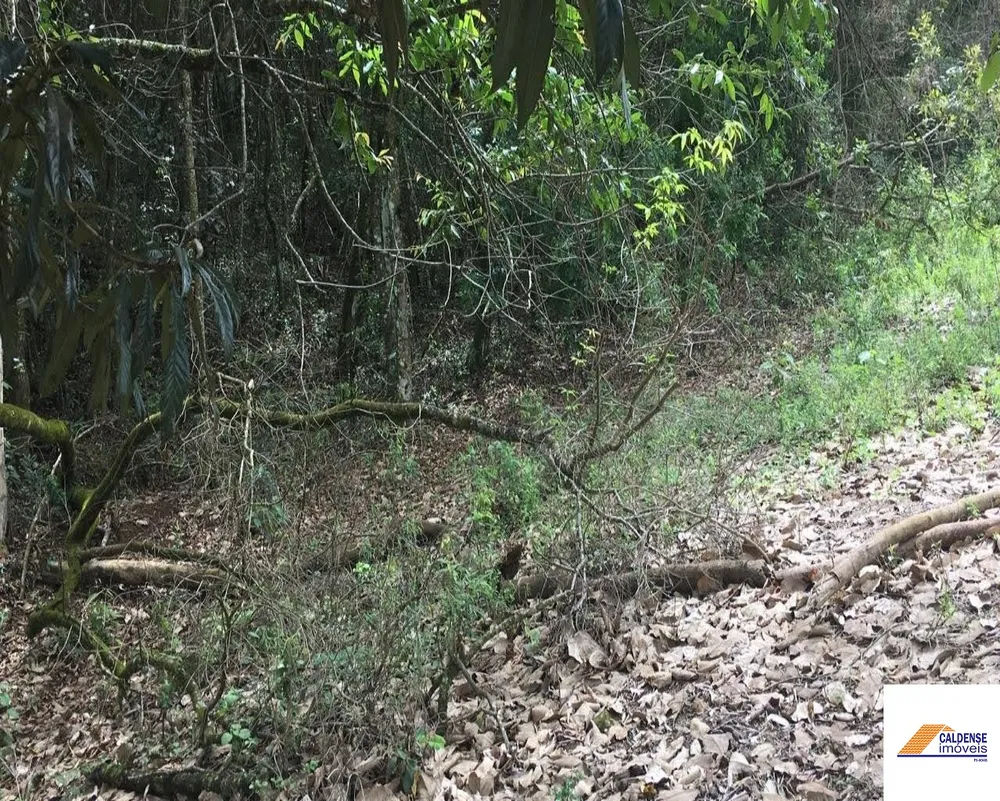 Terreno, 1300 m² - Foto 7