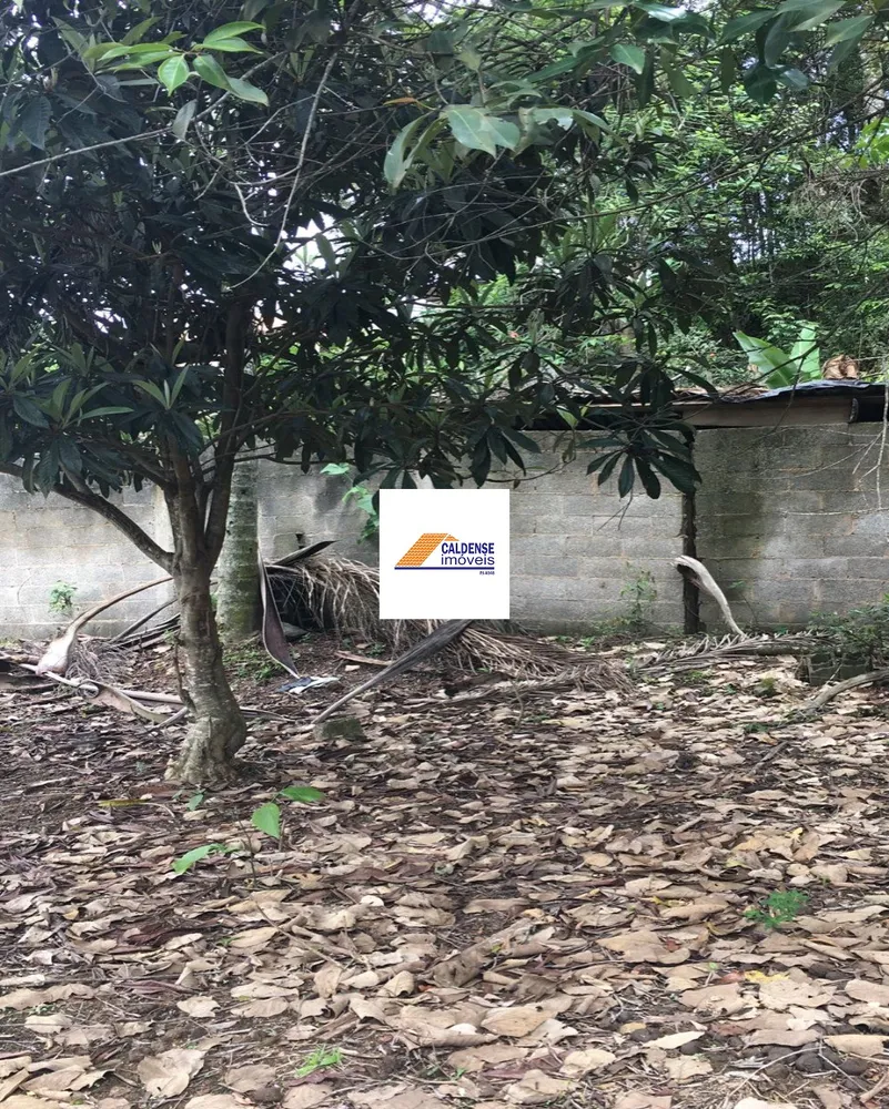 Terreno, 1300 m² - Foto 4