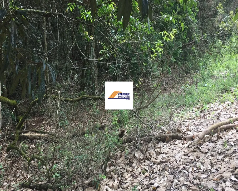Terreno, 1300 m² - Foto 3