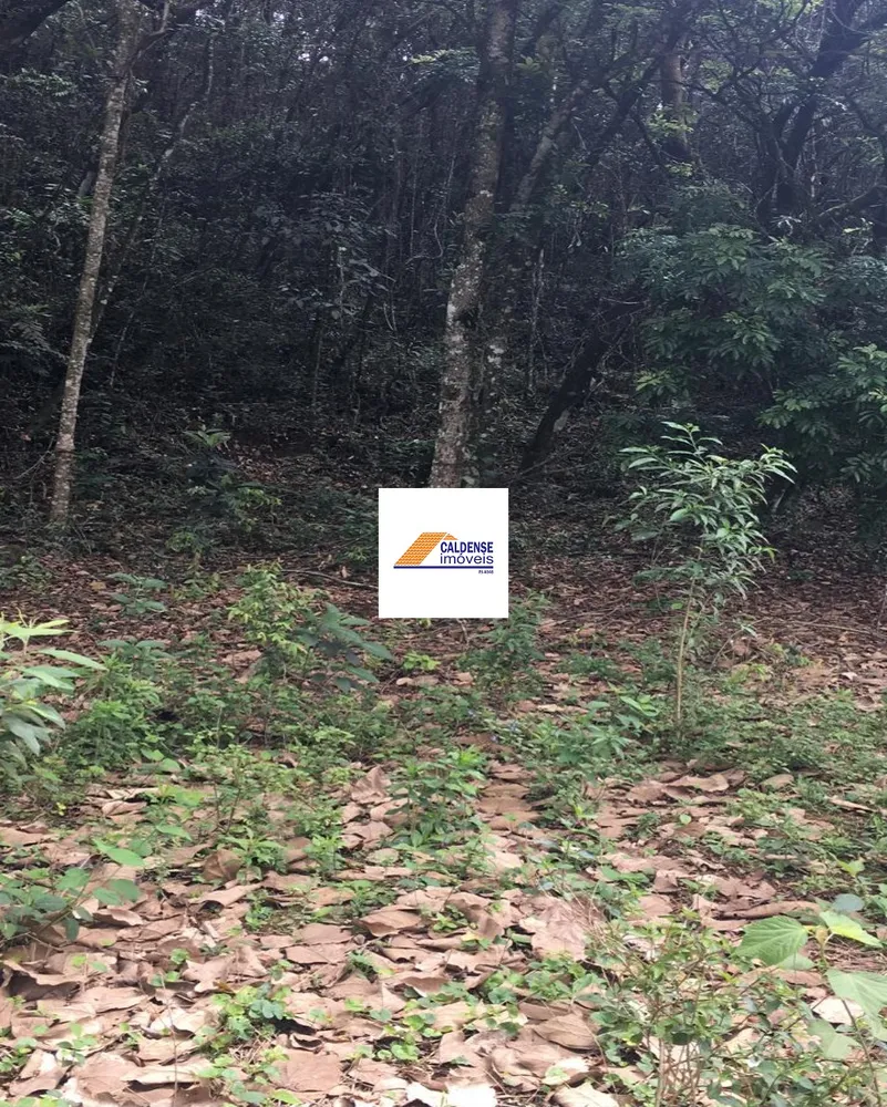 Terreno, 1300 m² - Foto 2