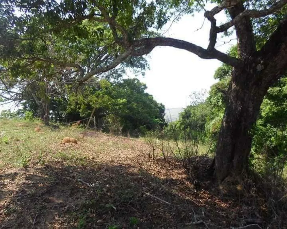 Terreno à venda, 1000m² - Foto 3