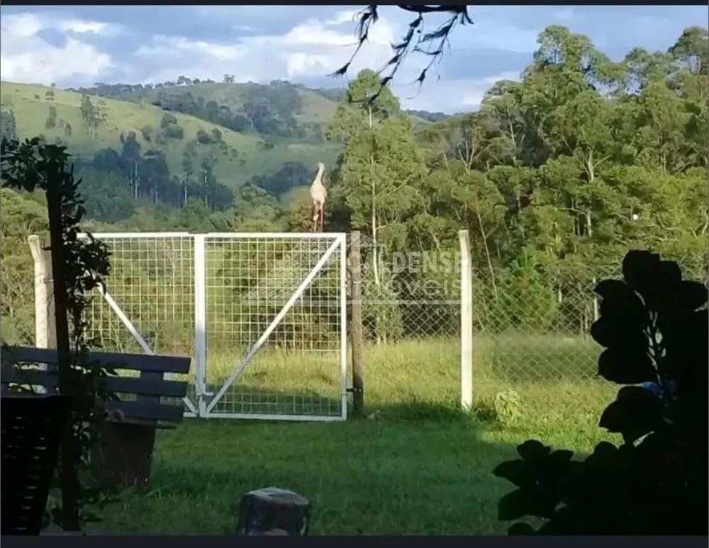 Chácara, 4 quartos - Foto 6