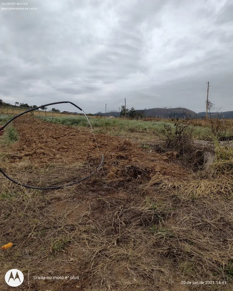 Terreno, 8000 m² - Foto 1
