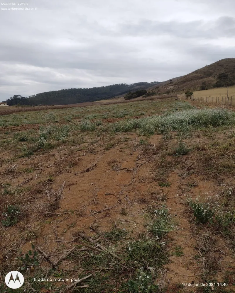 Terreno, 8000 m² - Foto 5