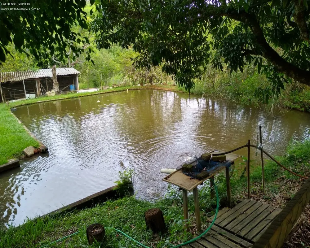 Chácara, 3 quartos, 7000 m² - Foto 12