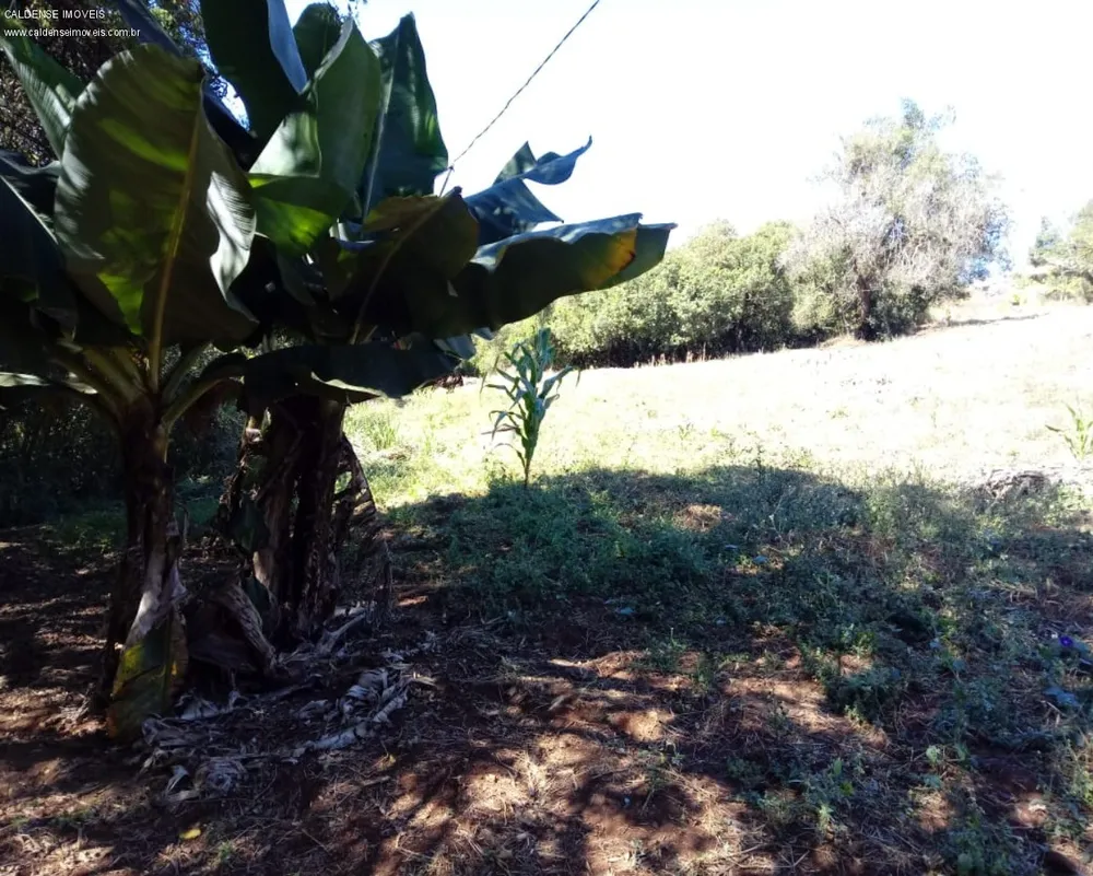 Chácara - Foto 7