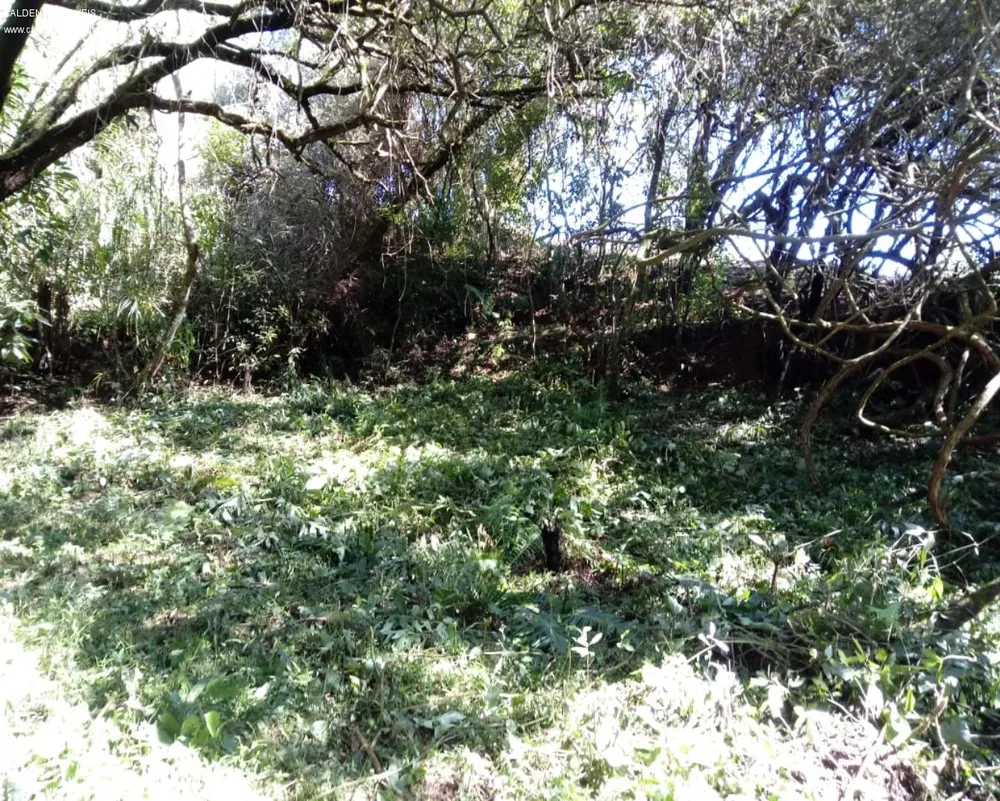Chácara - Foto 1