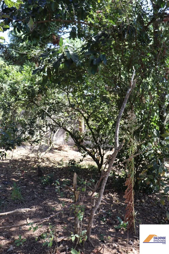 Chácara, 3 quartos - Foto 11