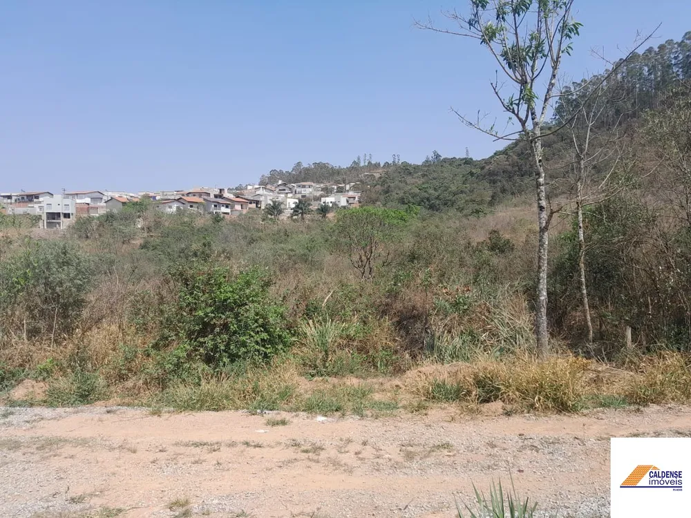 Terreno, 2 hectares - Foto 11