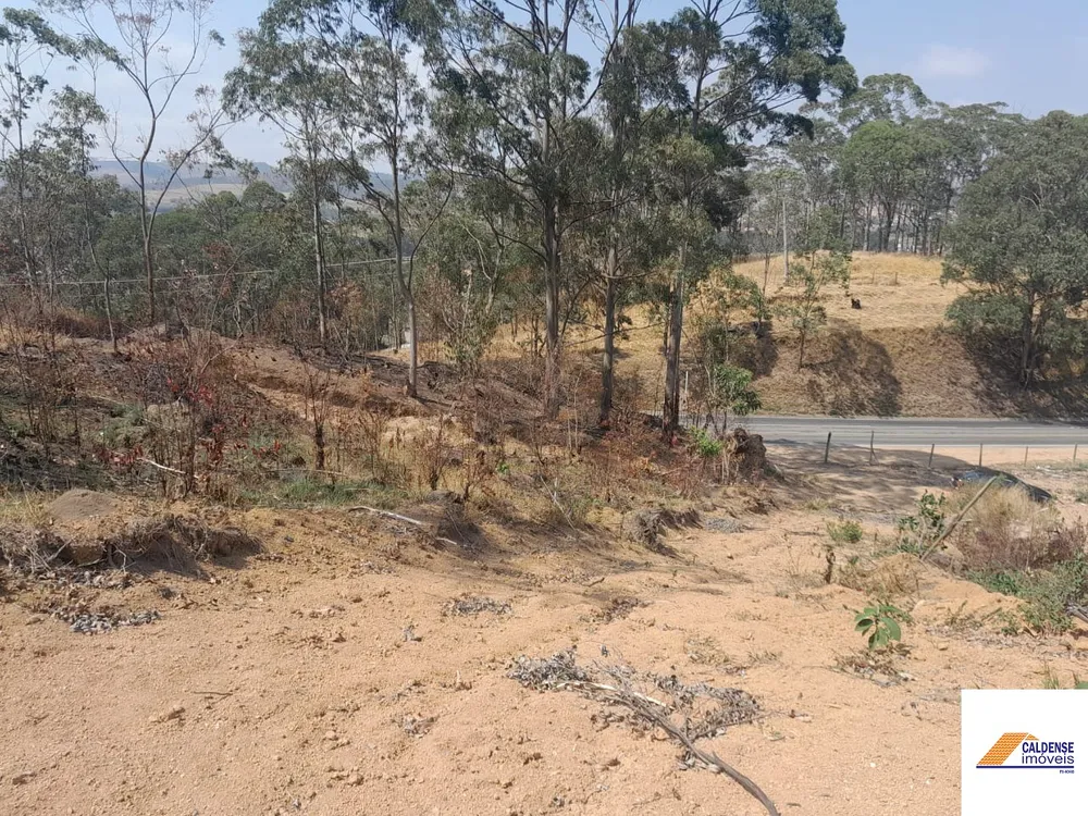 Terreno, 2 hectares - Foto 7