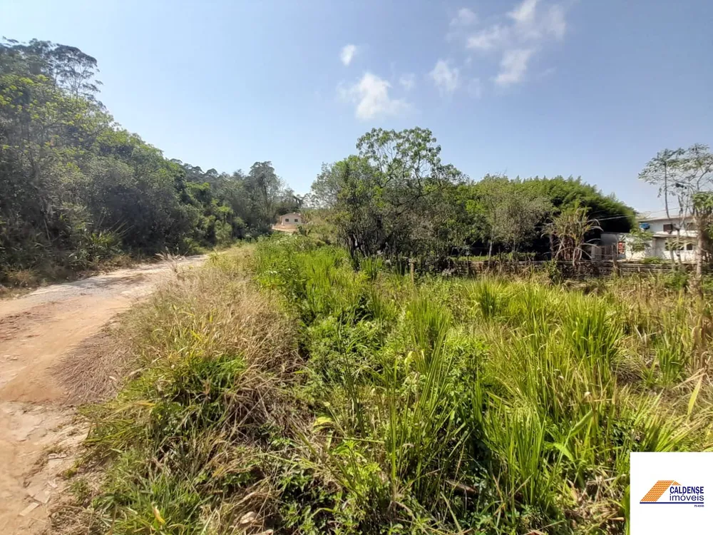 Terreno, 2 hectares - Foto 9
