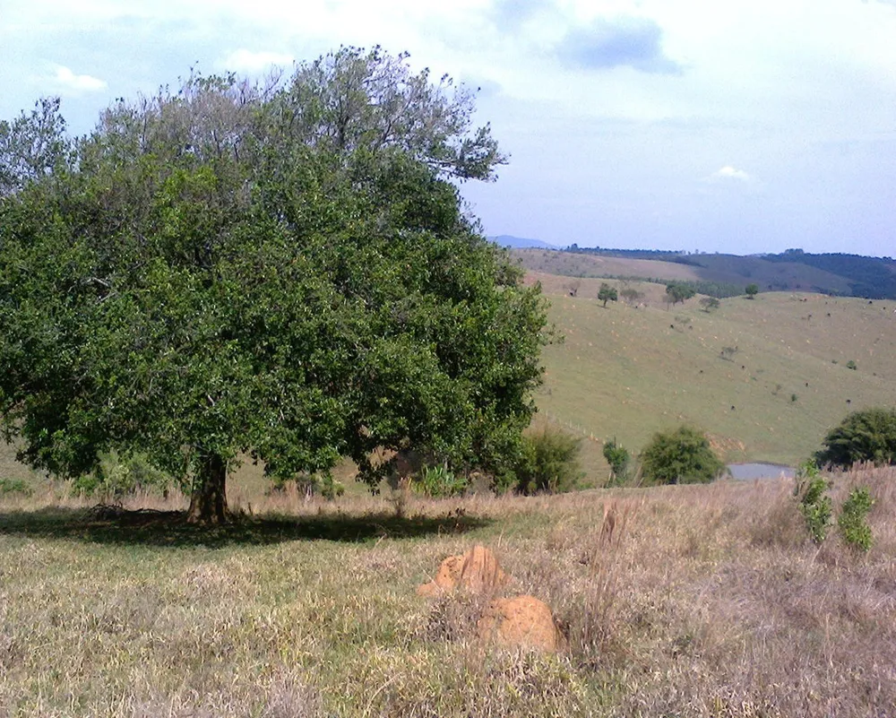 Terreno - Foto 3