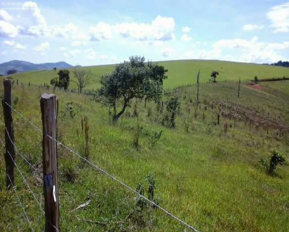 Terreno - Foto 1