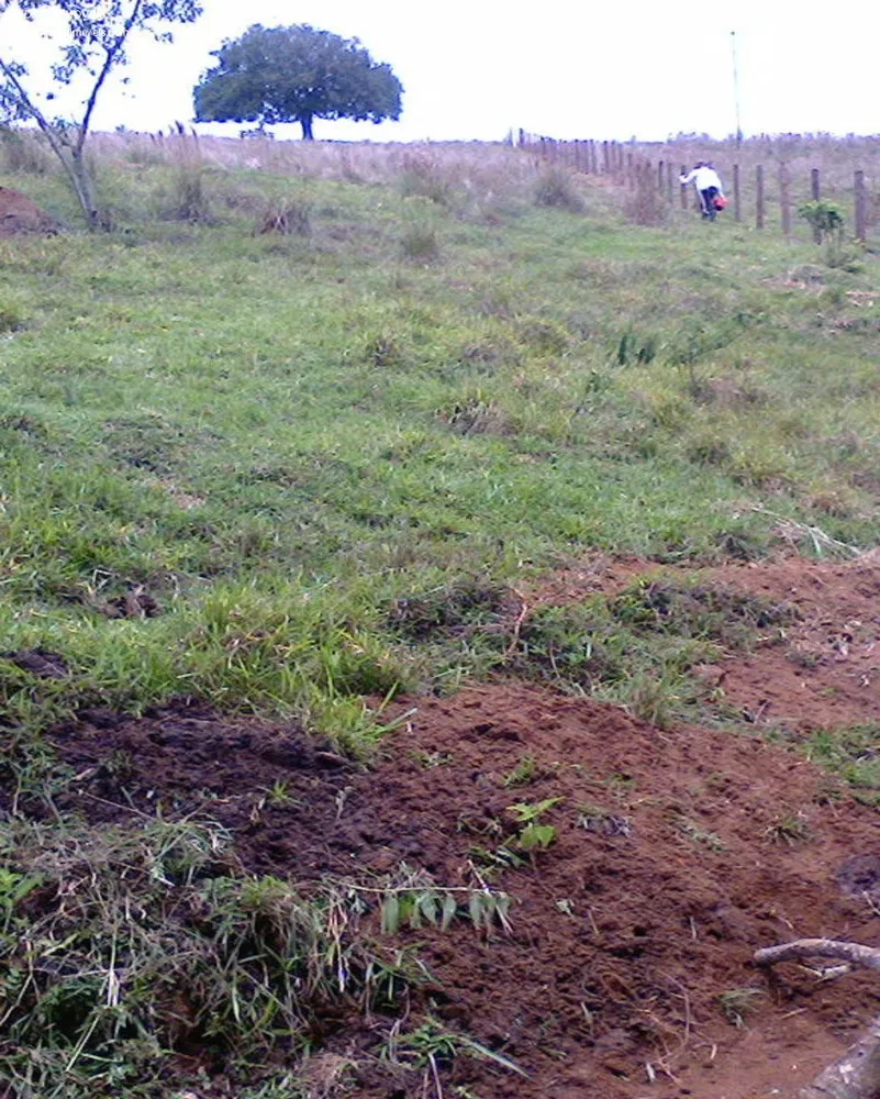 Terreno - Foto 4