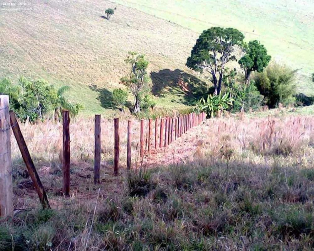 Terreno - Foto 8